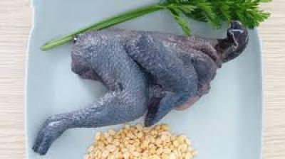 Cách Chọn Mua Gà Ác Chất Lượng - Mẹo Chọn Gà Ác Tươi Ngon 