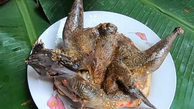 Cách làm gà ác nướng muối ớt cay cay đậm đà cực ngon miệng dễ làm